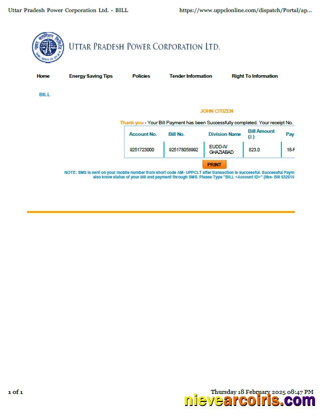 India Uttar Pradesh Power Corporation utility bill